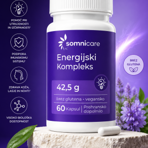 energijski kompleks